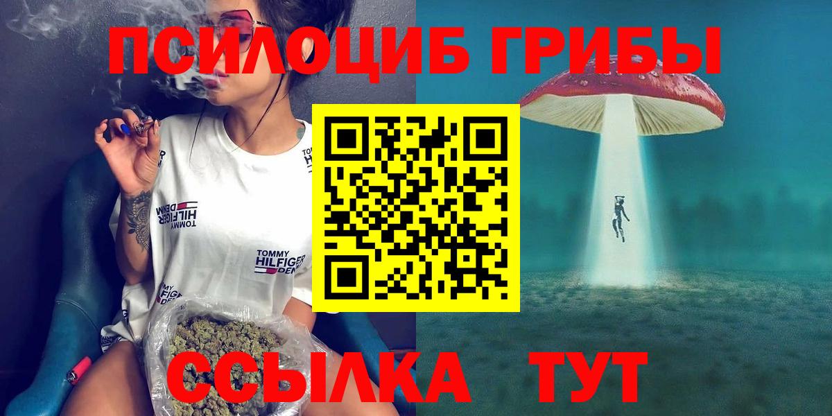 Галлюциногенные грибы мицелий Балтийск